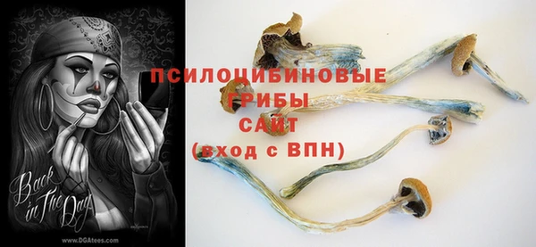 герыч Верхний Тагил