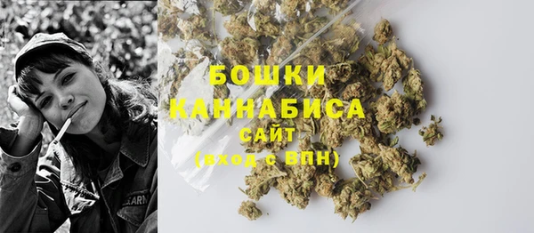 винт Бронницы