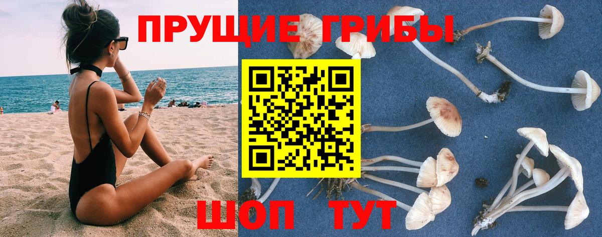 Галлюциногенные грибы прущие грибы Гурьевск