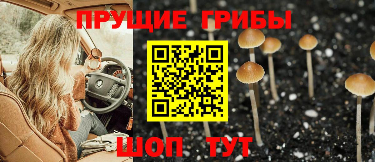 Галлюциногенные грибы Cubensis  Гурьевск 