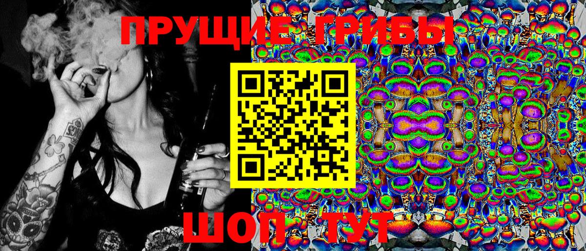 Гурьевск  Псилоцибиновые грибы прущие грибы  Вход с VPN 